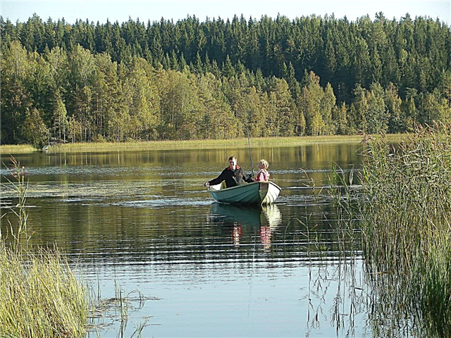  بحيرات فنلندا الغامضة