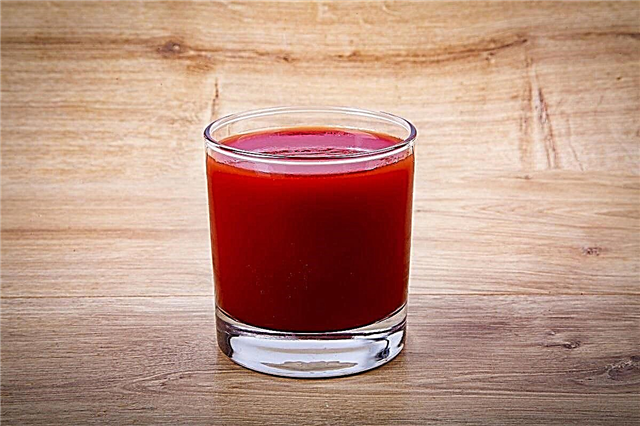  3 razloga zašto je sok od rajčice popularan u avionima