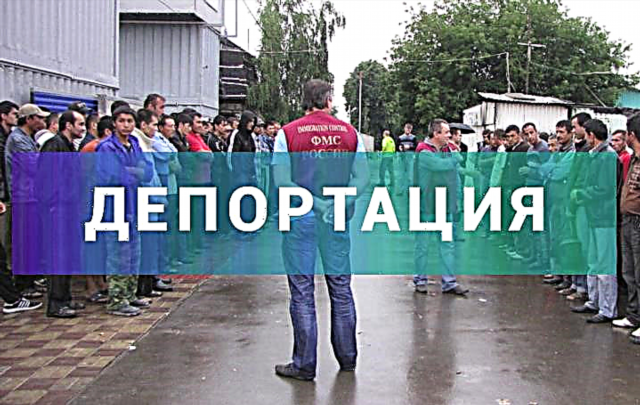  Reasons for the deportation of foreigners from Russia