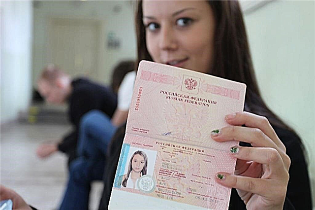  구식 여권 신청서