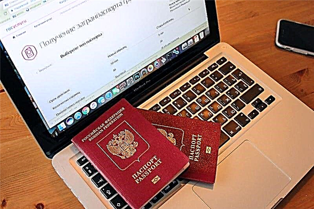  Metoder för att kontrollera beredskapen för Ryska federationens pass online