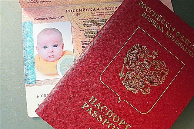  The nuances of obtaining a passport for a child