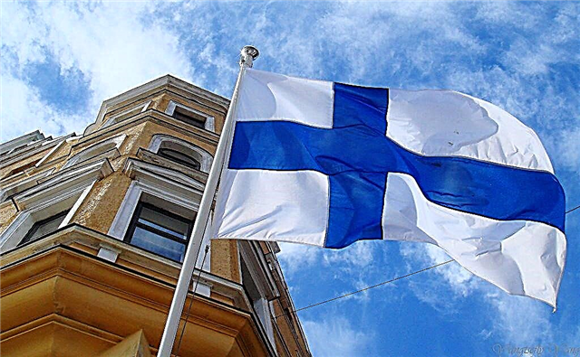  Udfyldelse af en finsk visumansøgningsformular