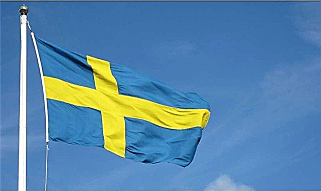  تأشيرة إلى السويد