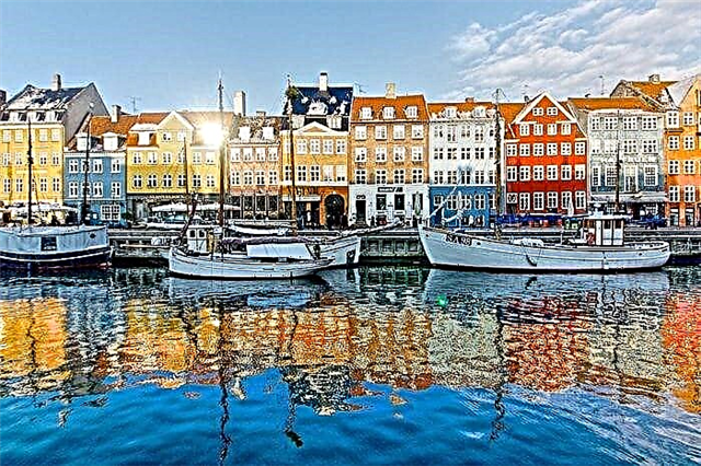  Obtaining and processing a visa to Denmark