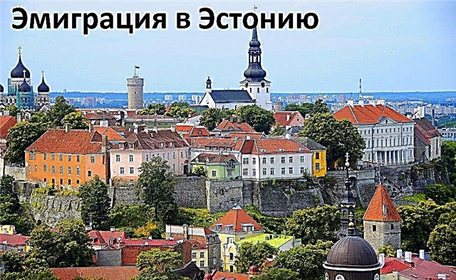 Načini za selitev v Estonijo