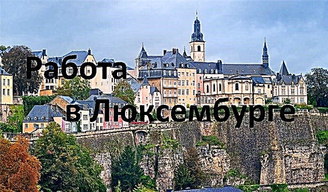  Employment in Luxembourg