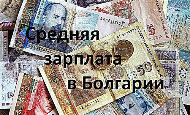  Gennemsnitsløn i Bulgarien