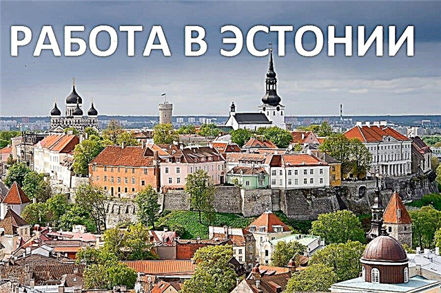  البحث عن عمل في إستونيا