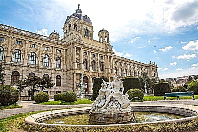 Prestigious Austrian universities: admission, features of training