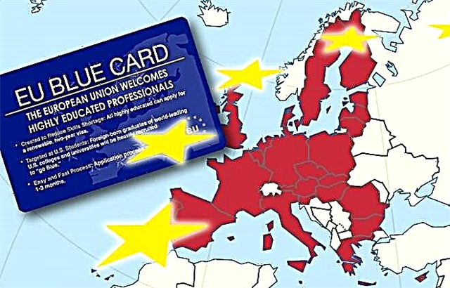 What is a Blue card in Europe
