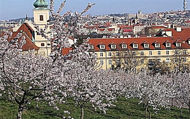 Çek Cumhuriyeti'nde iklim: özellikler, aylara ve bölgelere göre hava durumu