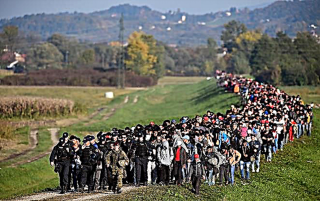 اللاجئون: الوضع القانوني والأصناف والخصائص