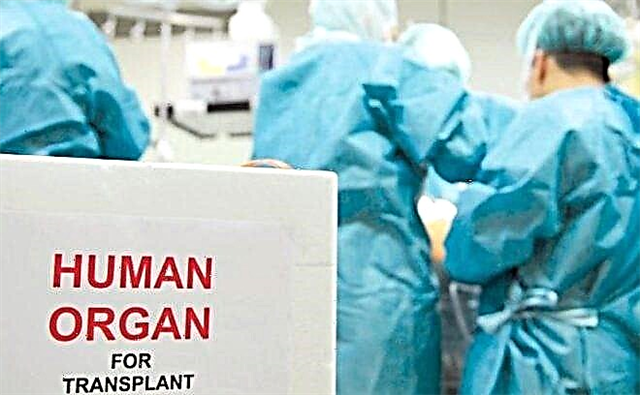 Organ transplant in Germany