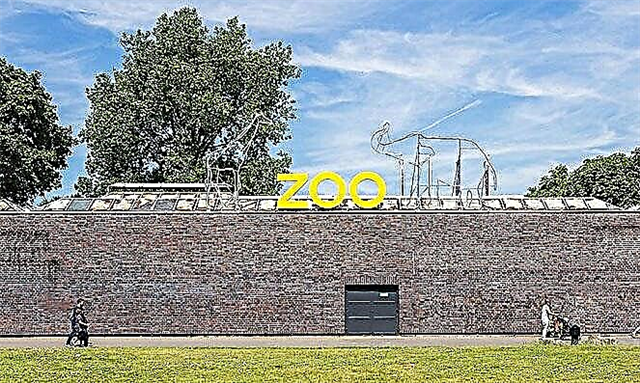 Cologne Zoo: animals near people