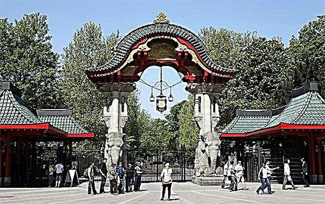 Những gì cung cấp cho khách du lịch Sở thú Berlin