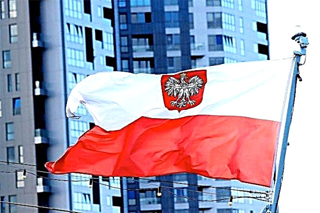 Tại sao bạn cần số Regon và cách nhận số Regon ở Ba Lan vào năm 2021