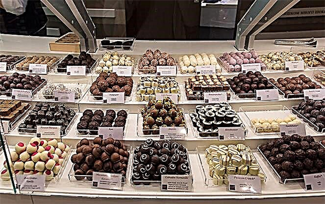 رحلة حلوة: متحف الشوكولاته في كولونيا