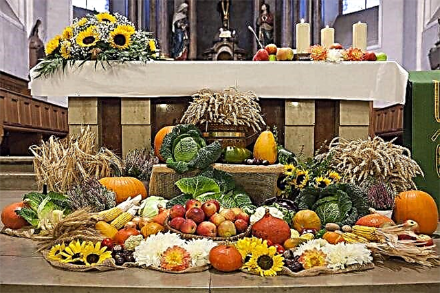 Thanksgiving for the harvest in Germany
