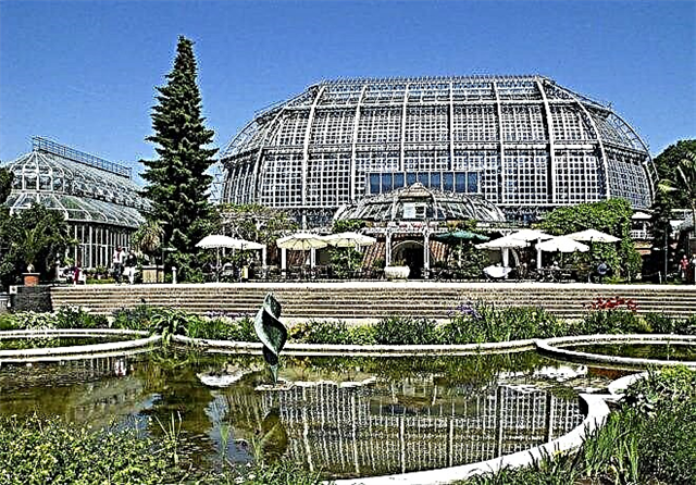 Berlin Botanical Garden - one of the oldest and largest in Europe