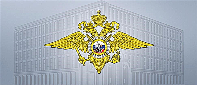 チェリャビンスク地域のロシア内務省の主な局