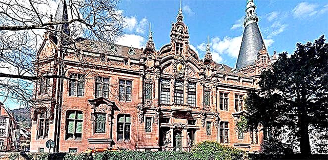 جامعة هايدلبرغ: التاريخ ، وتنظيم العملية التعليمية ، وآفاق الأجانب